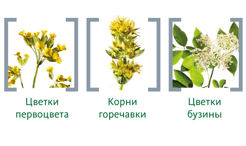 Состав препарата на растительной основе Синупрет®
